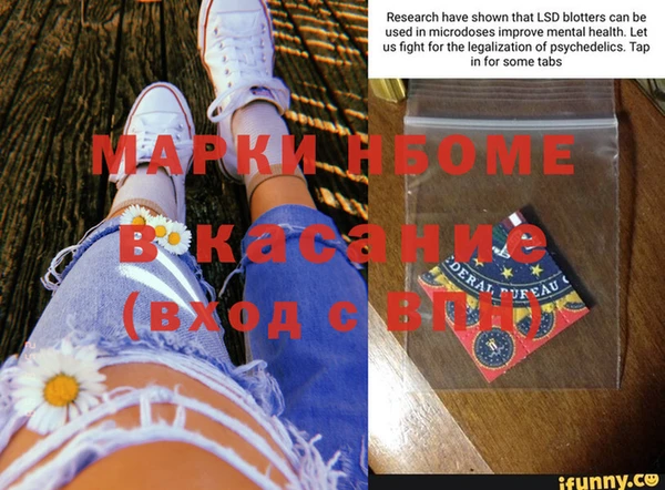 прущие грибы Белоозёрский