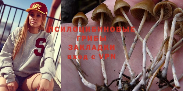 прущие грибы Белоозёрский