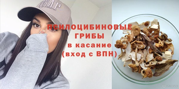2c-b Белокуриха