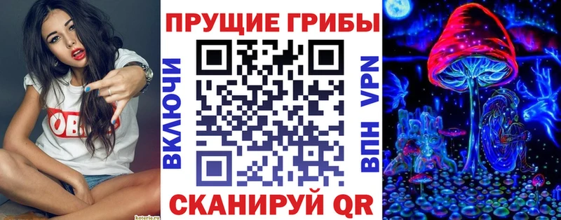 цены наркотик  Шатура  Псилоцибиновые грибы Cubensis 
